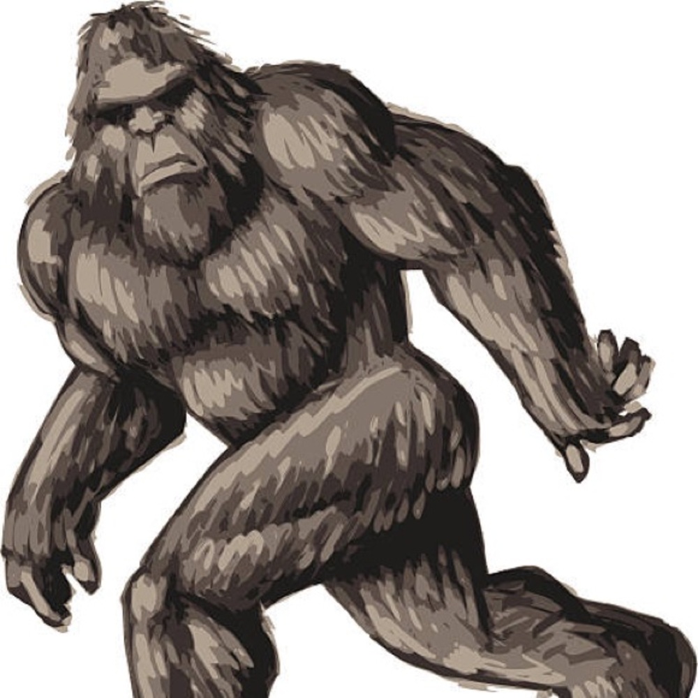 Meet your Posher, Tommy